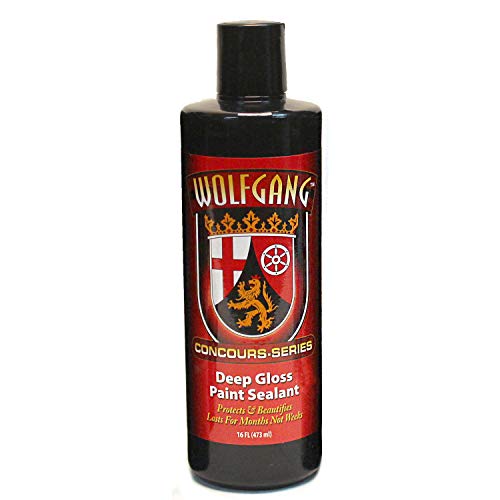 5 Best Car Paint Sealants of 2022 – Reviews & Top Picks