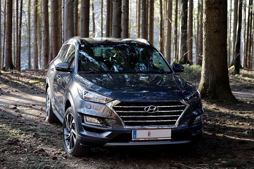 11 Facts About Hyundai (2022 Statistics Update)