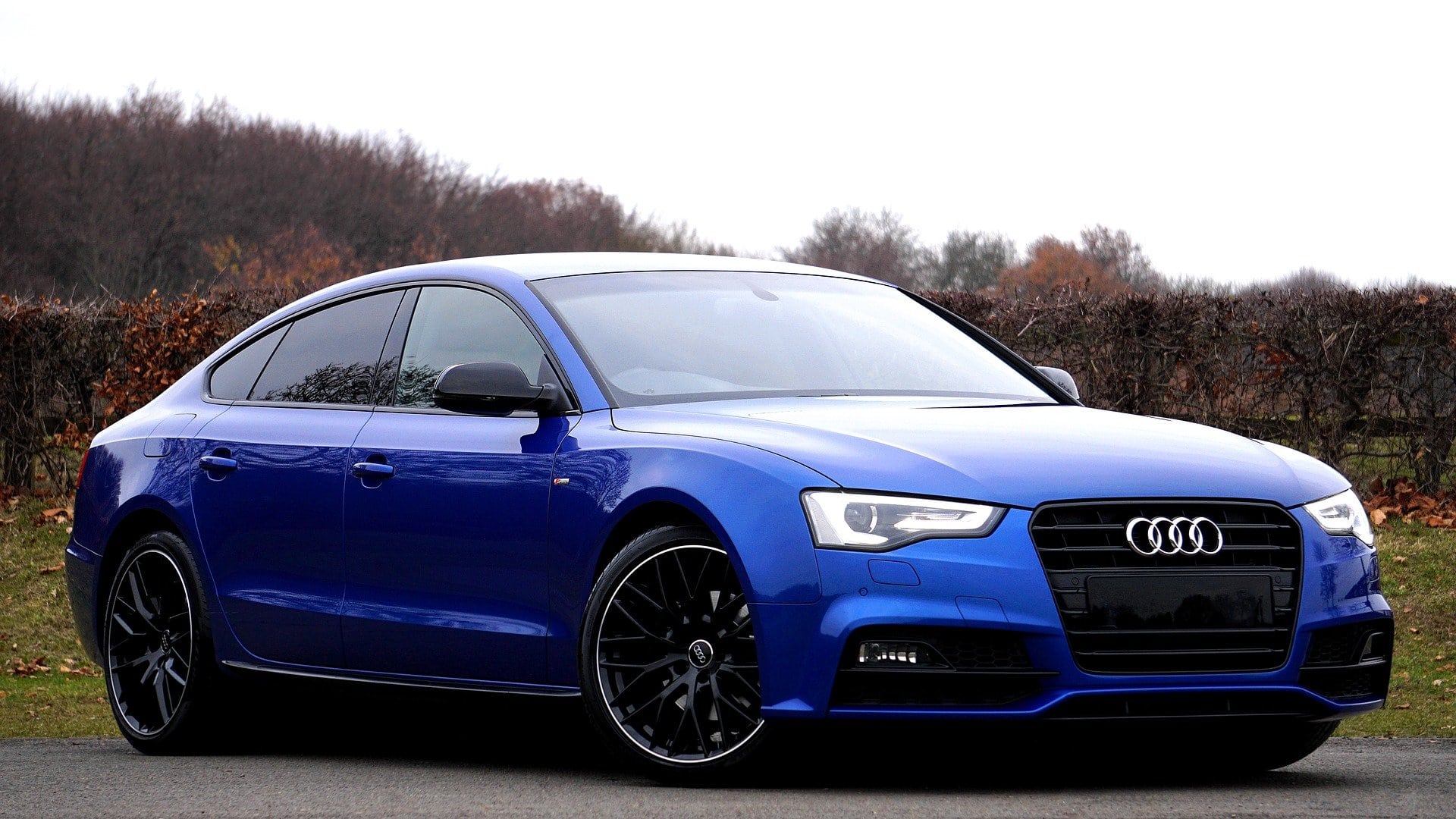 What Is APR on a Car? Car Loan Terms Explained