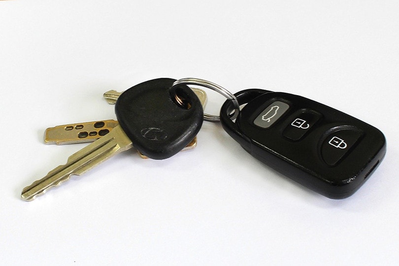 7 Different Types of Car Keys (with Pictures)