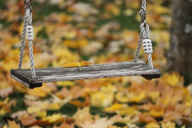 25 Free DIY Wooden Swing Set Plans You Can Build Today (with Pictures)
