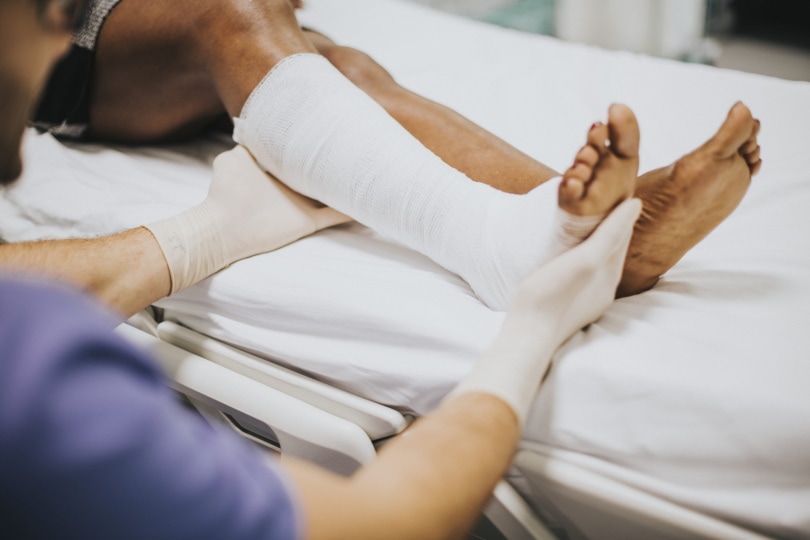 10 Construction Injury Statistics (2022 Update)