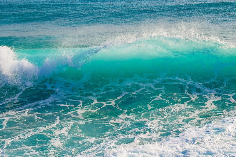 10 Tidal and Wave Energy Facts and Statistics in 2022