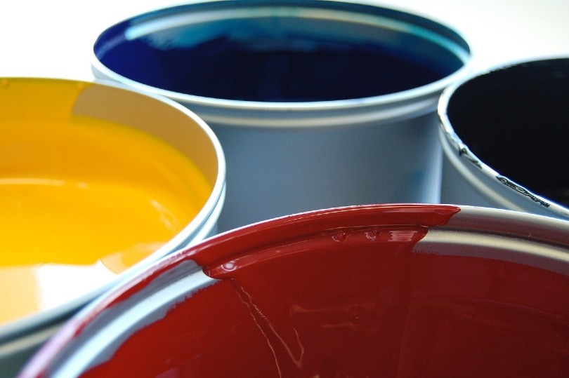 How to Paint Rooms and Walls in16 Easy Steps (with Pictures)