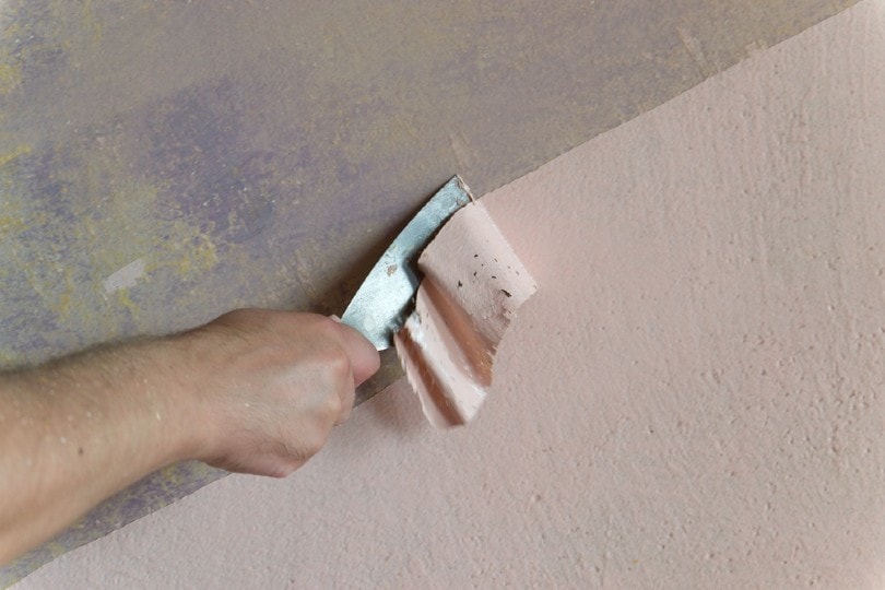 How to Remove Spray Paint from a Wall in 6 Easy Steps (with Pictures)