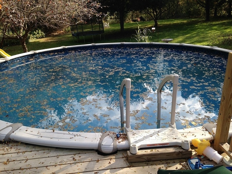 5 Simple Ways To Keep Leaves Out of Your Pool