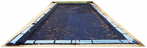 5 Simple Ways To Keep Leaves Out of Your Pool