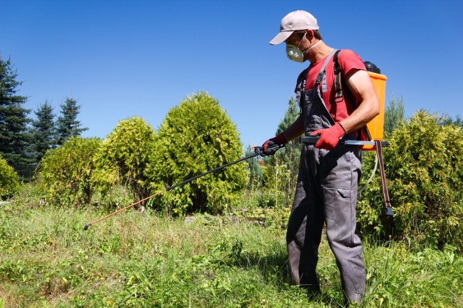 5 Best Backpack Sprayers of 2022 – Top Picks & Reviews