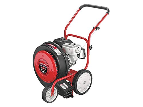 5 Best Walk Behind Leaf Blowers of 2022 – Reviews & Buying Guide