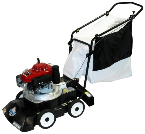 5 Best Walk Behind Leaf Blowers of 2022 – Reviews & Buying Guide
