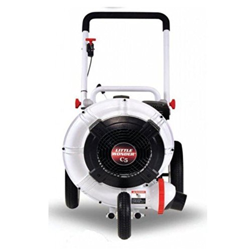 5 Best Walk Behind Leaf Blowers of 2022 – Reviews & Buying Guide