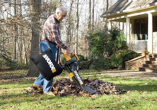 WORX Trivac WG505 3-in-1 Blower Review