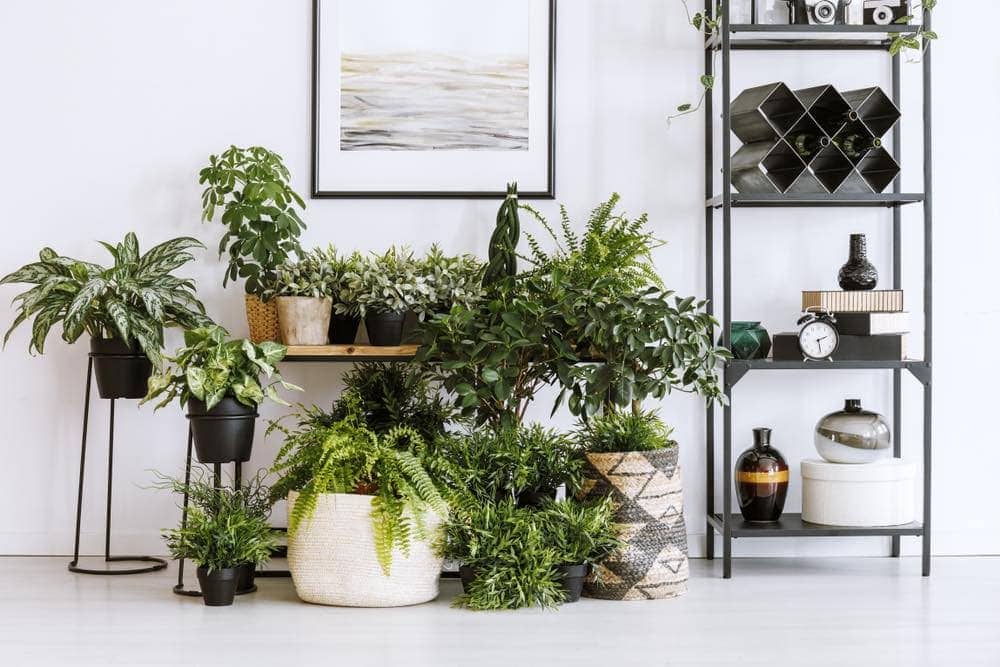 20 DIY Plant Stand Ideas for Outdoor &#038; Indoor