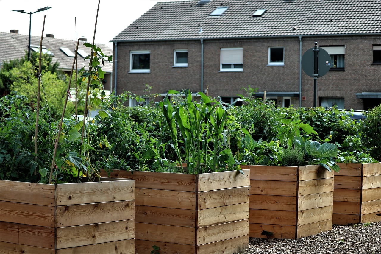 15 Smart Uses for Wood Chips – Recycling and Reusing Ideas
