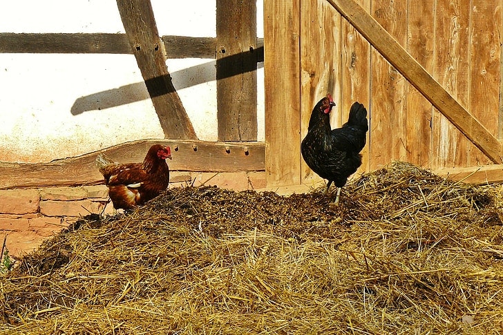 15 Smart Uses for Wood Chips – Recycling and Reusing Ideas