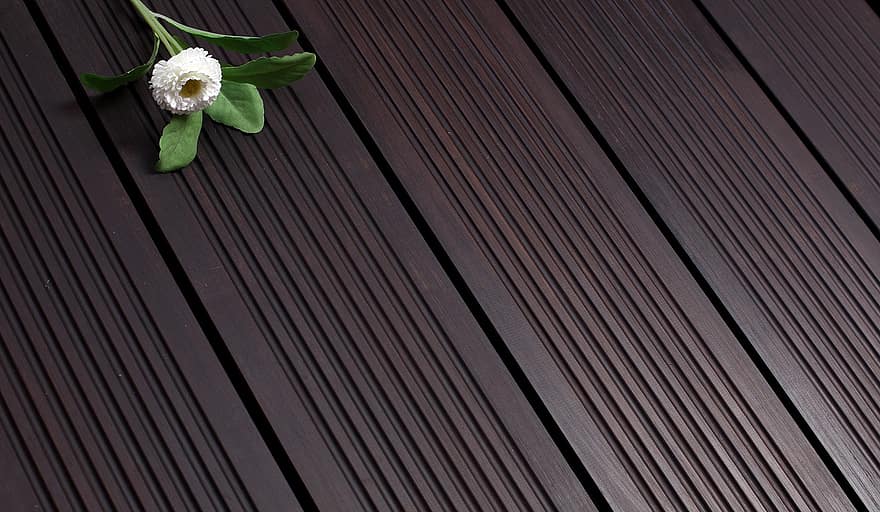 What’s the Best Way to Cut Bamboo? Which Tool to Use?