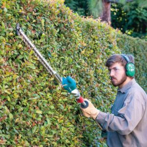 10 Best Pole Hedge Trimmers of 2022 &#8211; Reviews &#038; Top Picks