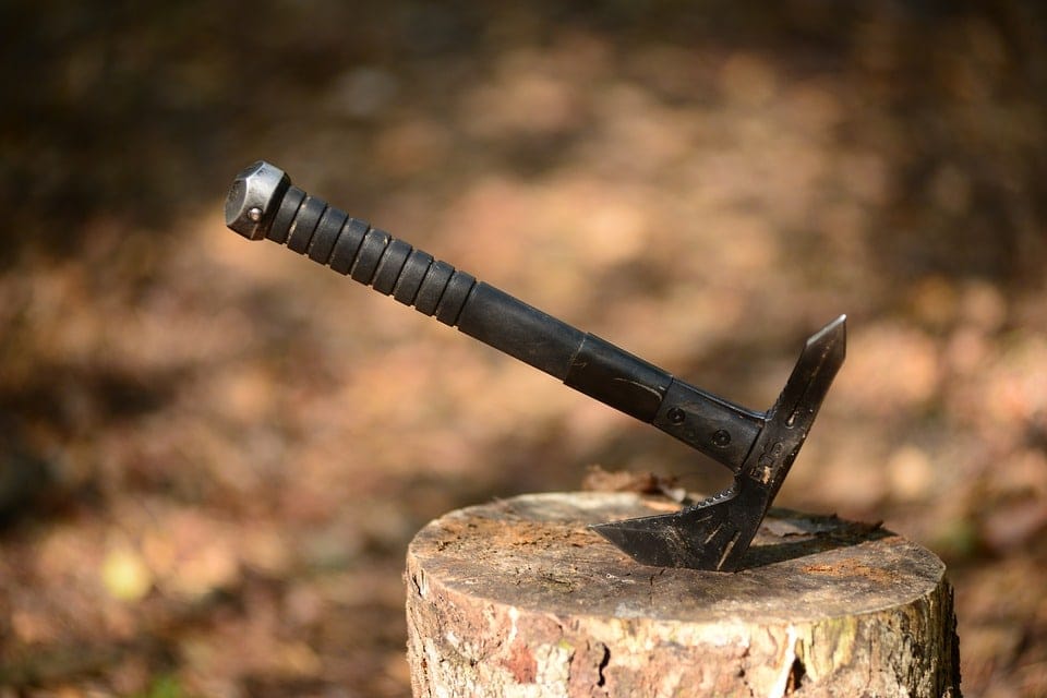 19 Different Types of Axes & Their Uses