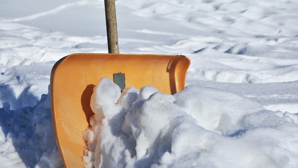 17 Different Types of Shovels & Their Uses (with Pictures)