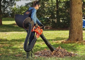 7 Best Cordless Leaf Blowers of 2022 – Reviews & Top Picks