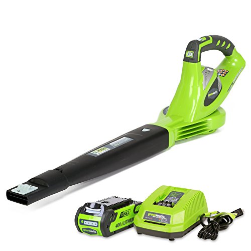 7 Best Cordless Leaf Blowers of 2022 – Reviews & Top Picks