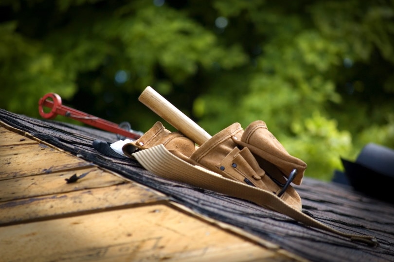 How to Remove Shingles: 13 Steps (with Pictures)