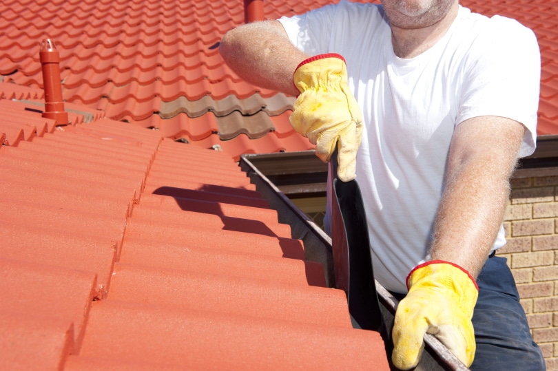How to Remove Shingles: 13 Steps (with Pictures)