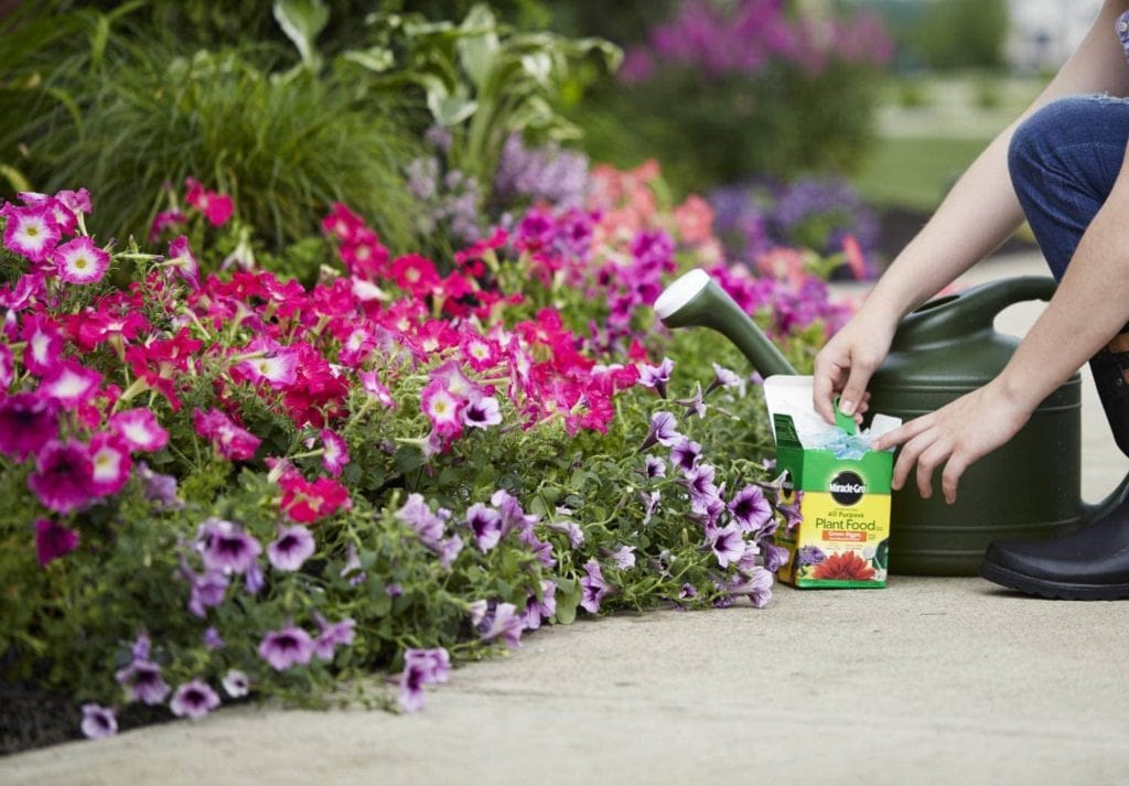 Compost vs Fertilizer – Which Should You Use?