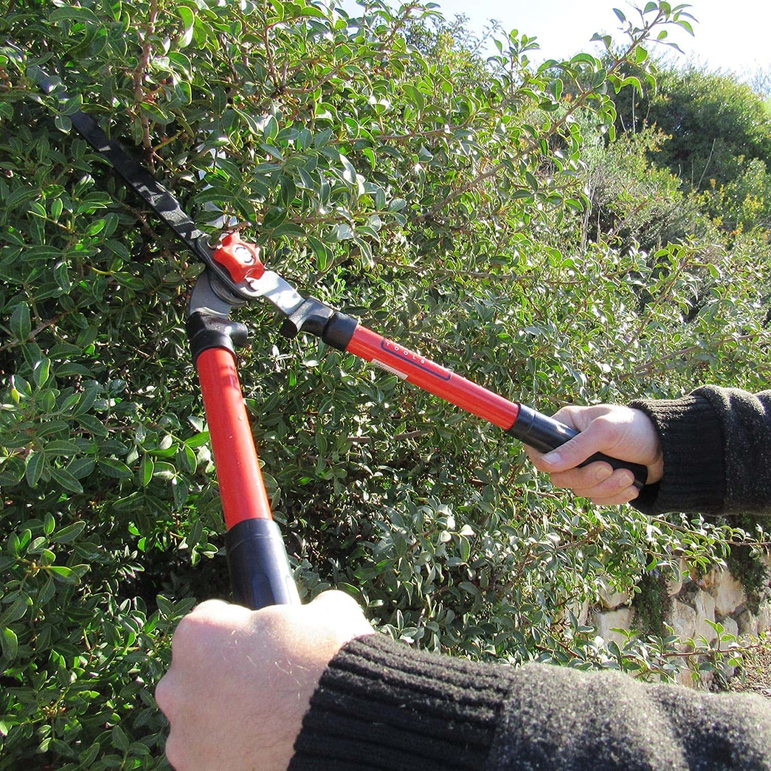 10 Best Hedge Shears of 2022 – Reviews, Top Picks & Guide