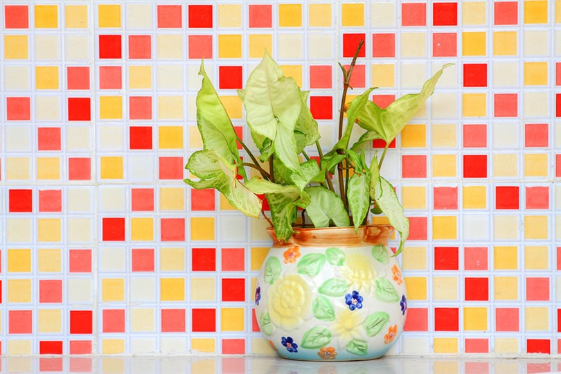 12 Kitchen Backsplash Trends In 2022 – Design Ideas for a Modern Home
