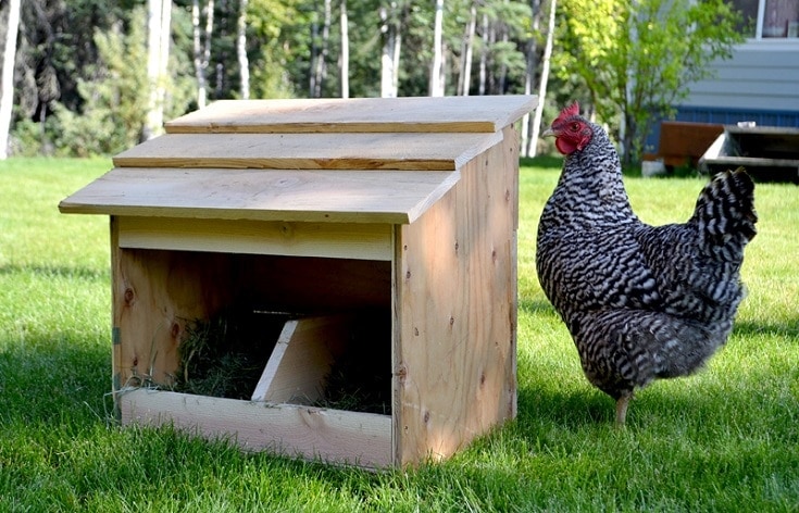 11 DIY Chicken Nesting Box Plans You Can Make Today