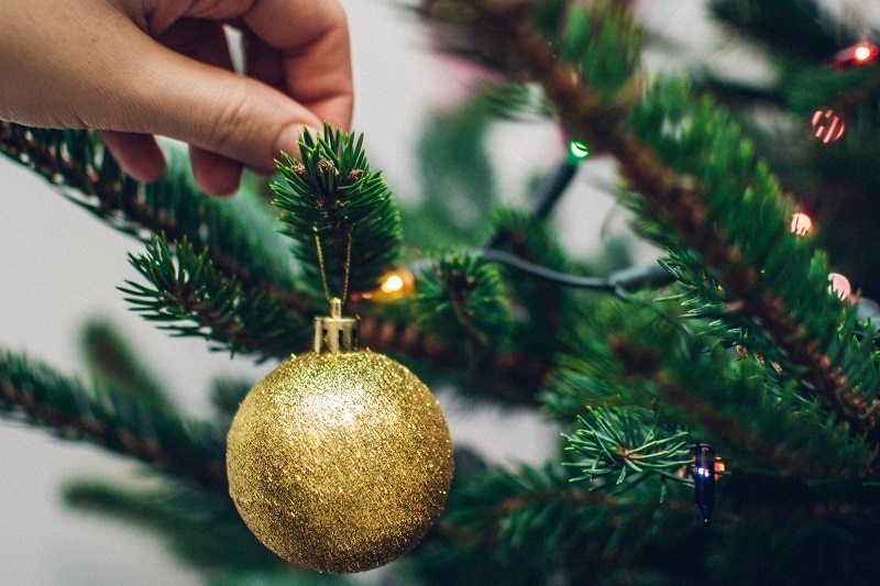 12 Most Environmentally Friendly Ways to Dispose of Your Christmas Tree