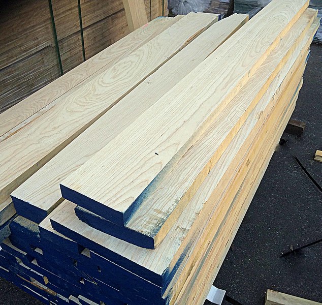 Is Pressure Treated Wood Safe for Vegetable Gardens?