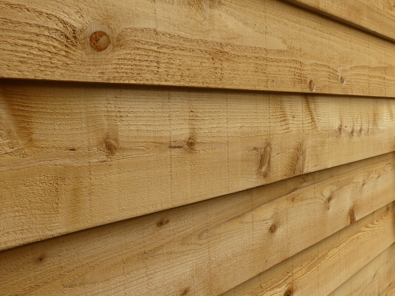 Is Pressure Treated Wood Safe for Vegetable Gardens?