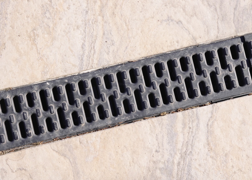7 Types of Yard Drains (With Pictures)