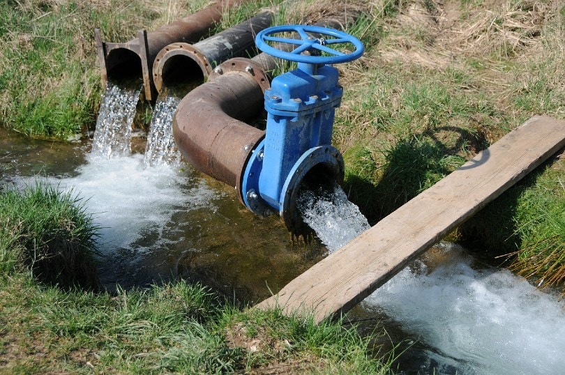 7 Types of Yard Drains (With Pictures)
