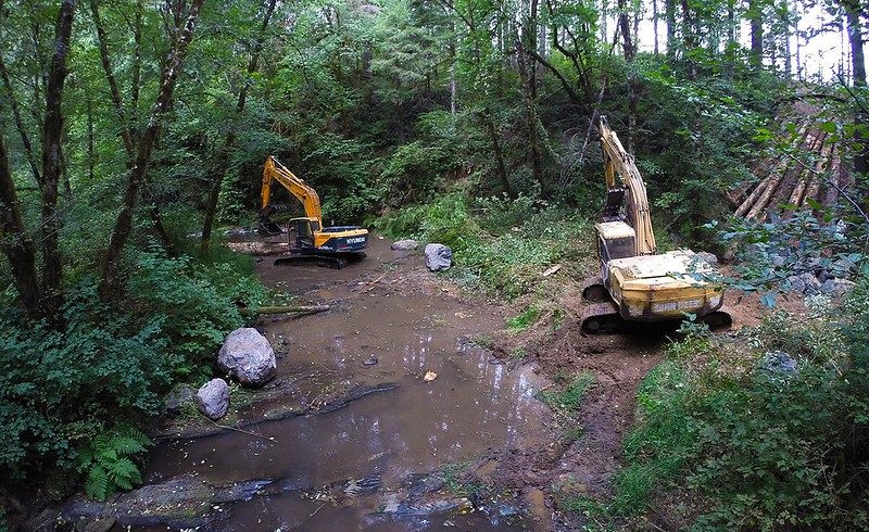 7 Types of Yard Drains (With Pictures)