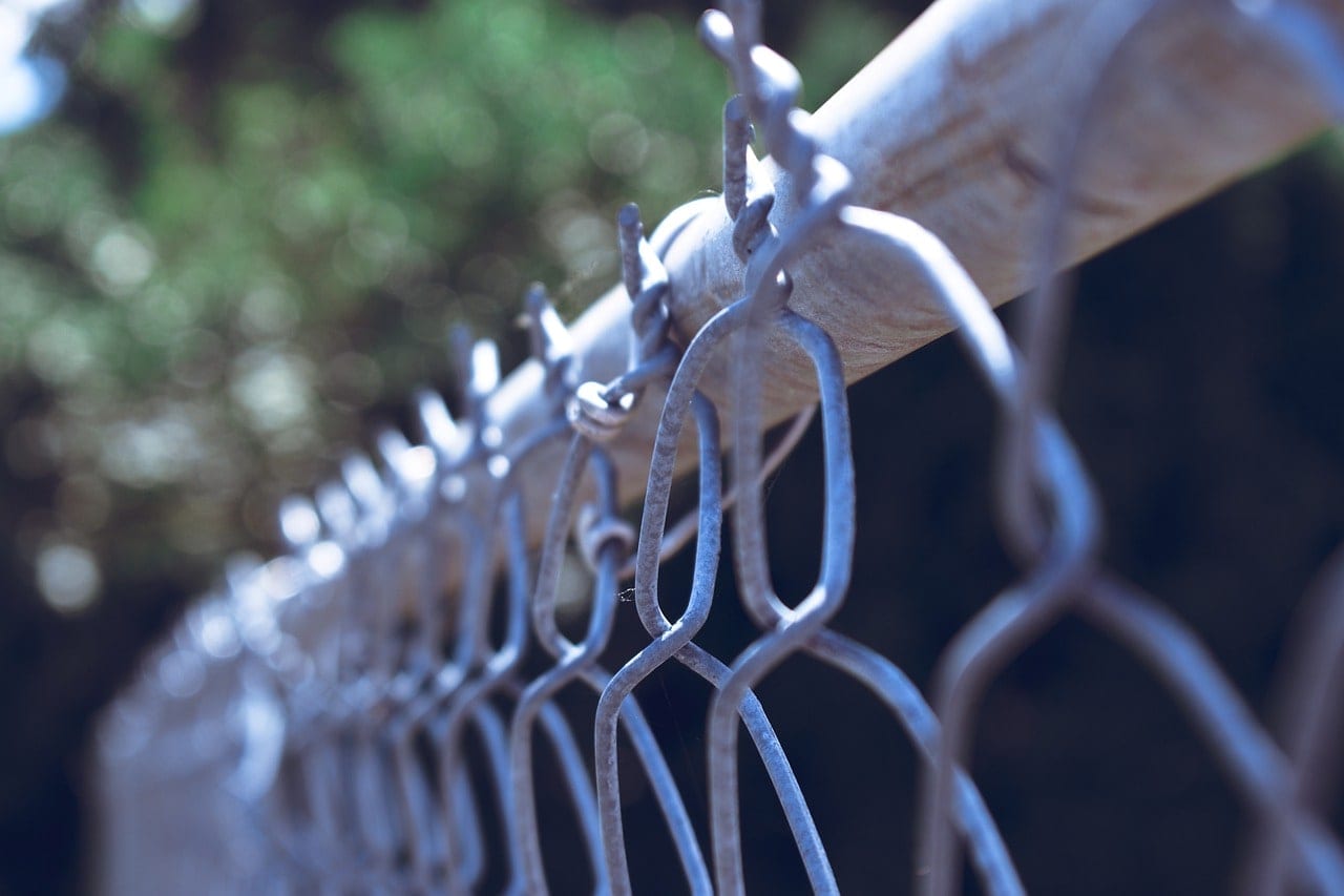 19 Cheap Fencing Ideas for Your Yard In 2022
