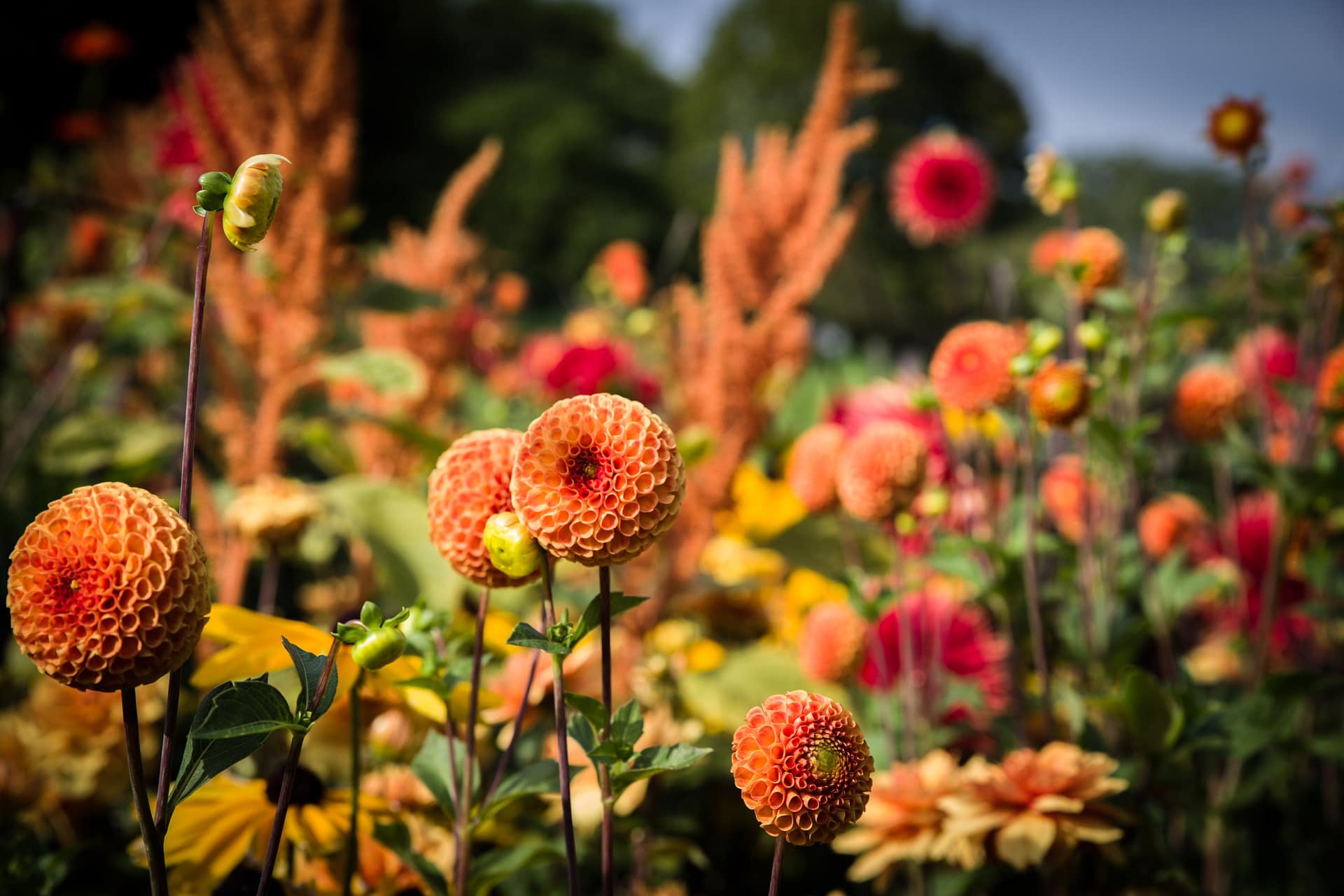 10 Landscaping Trends In 2022 – Design Ideas for a Modern Home
