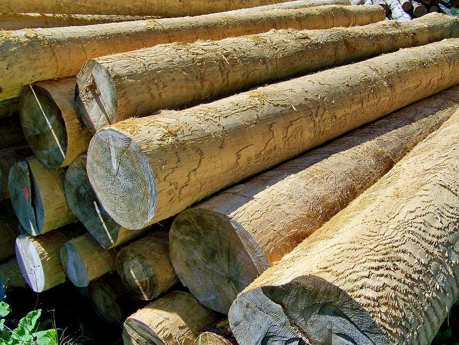 How To Check Moisture Content of Wood Without a Meter