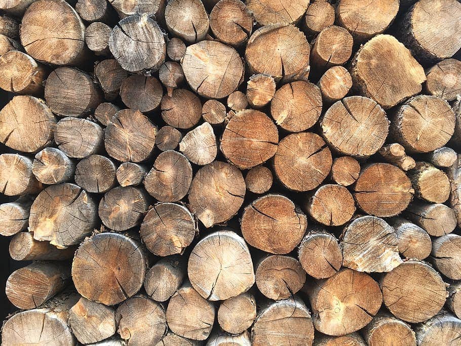How To Check Moisture Content of Wood Without a Meter