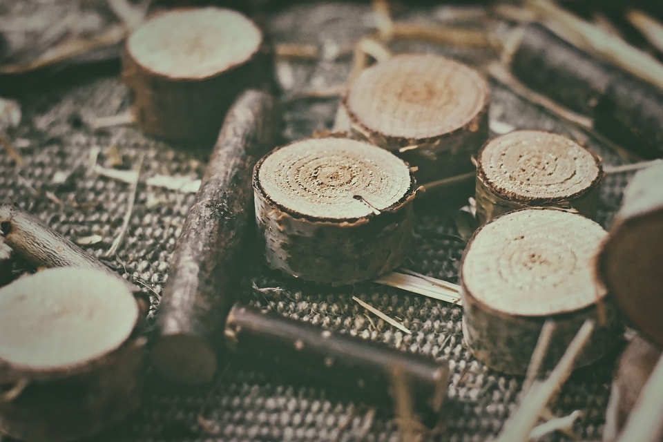What’s the Best Type of Wood for Carving? (With Pictures)