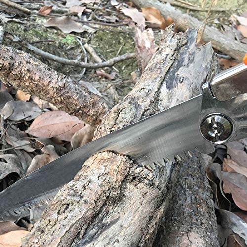 10 Best Pruning Saws – Top Picks & Reviews 2022