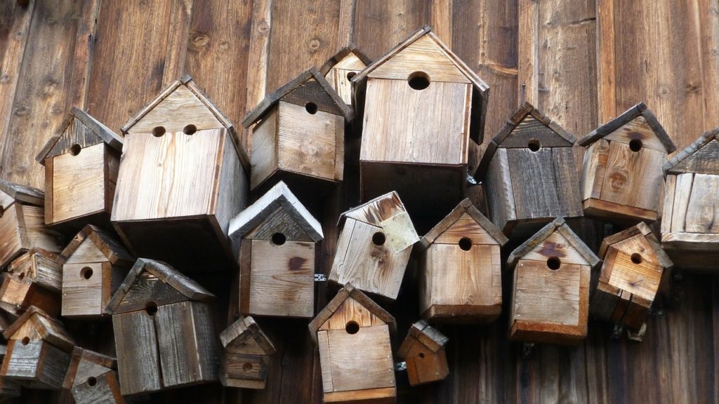 14 DIY Bird Feeder Plans You Can Build Today