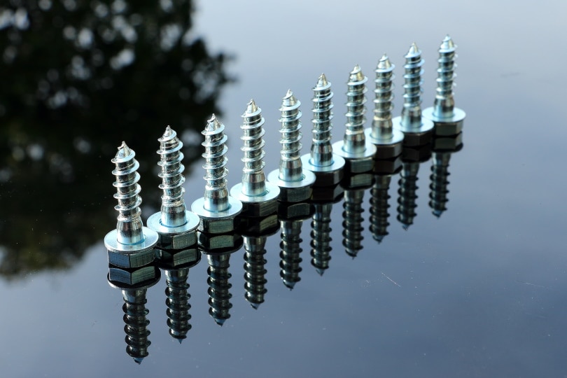 6 Different Types of Wood Screws (With Pictures)