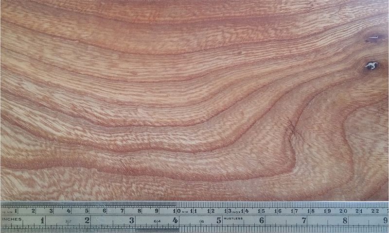 16 Types of Hardwood (with Pictures)