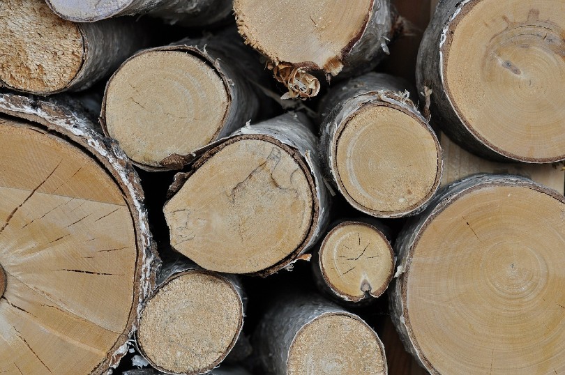 10 Different Types of Wood for Furniture (with Pictures)
