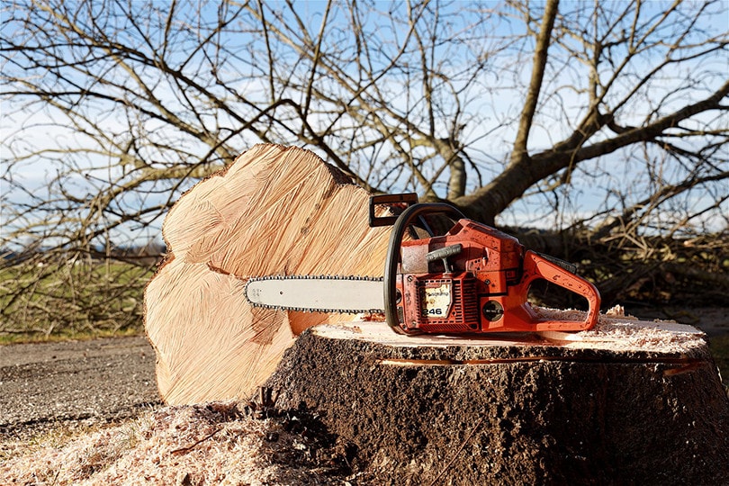38 Types Of Saws For Wood (With Pictures)
