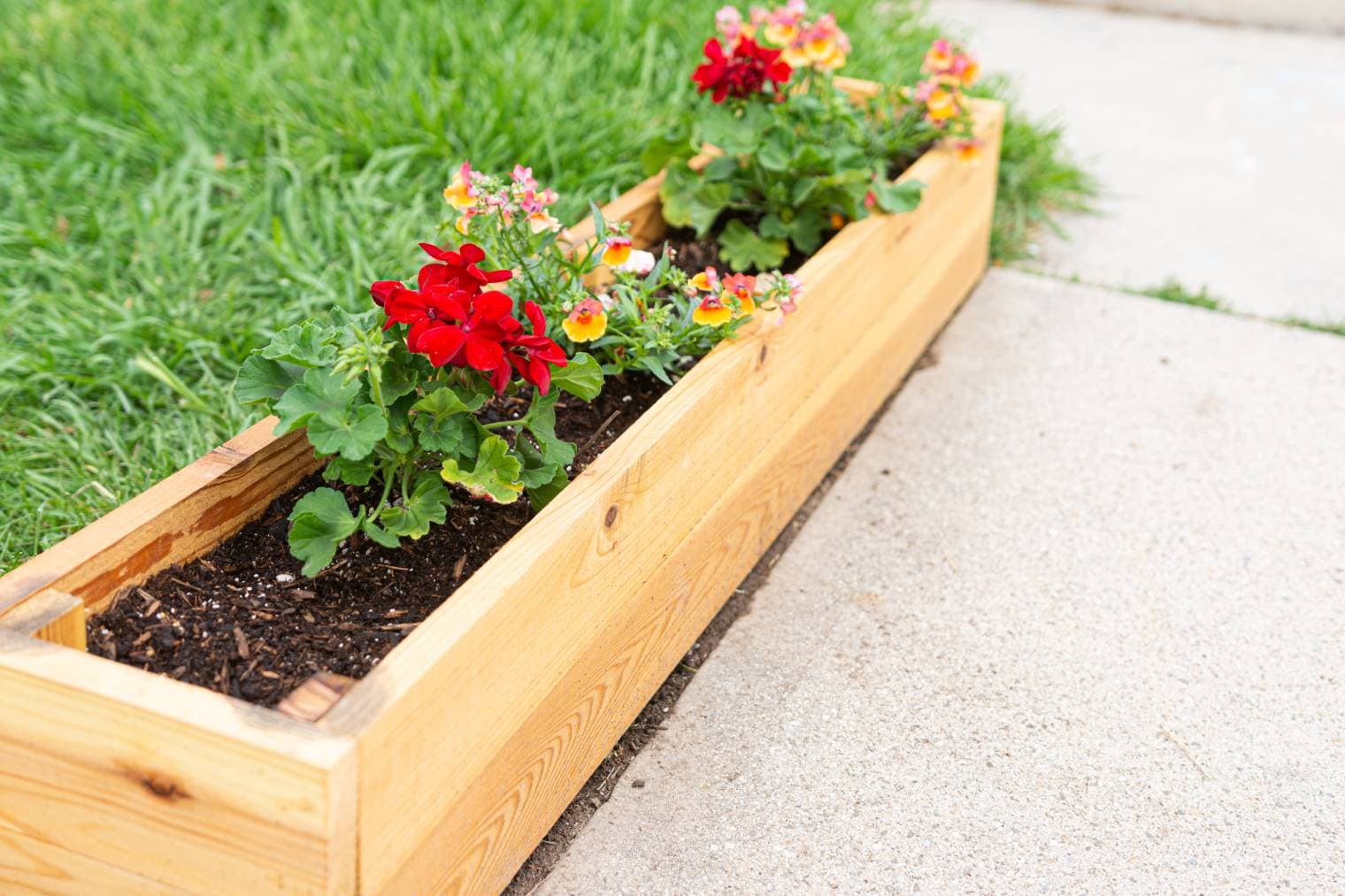 What is the Best Wood for Raised Garden Beds? (With Pictures)