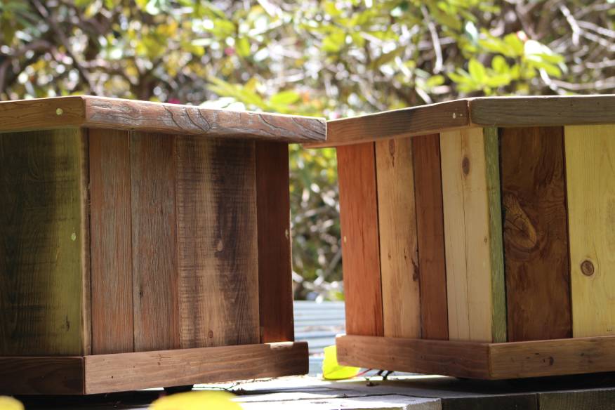 What is the Best Wood for Raised Garden Beds? (With Pictures)